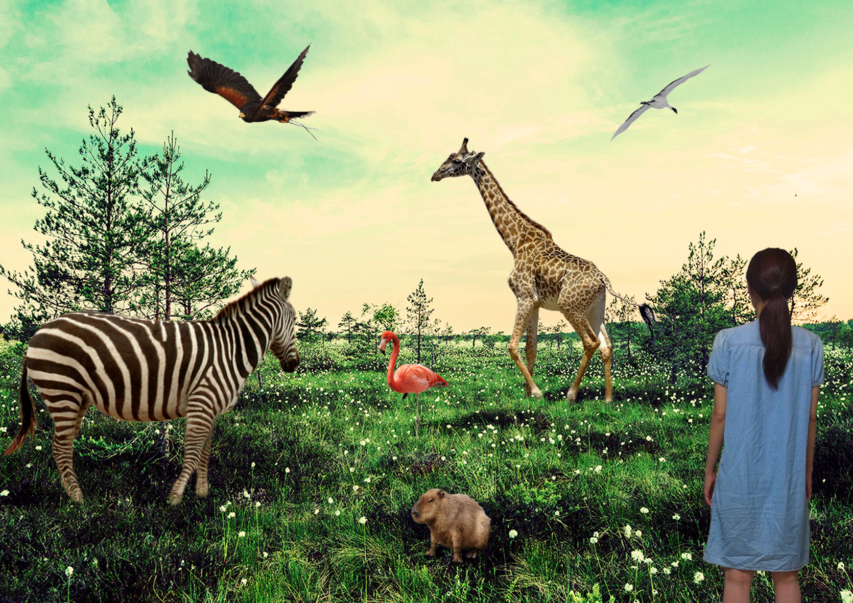 グラフィックデザイン画像２